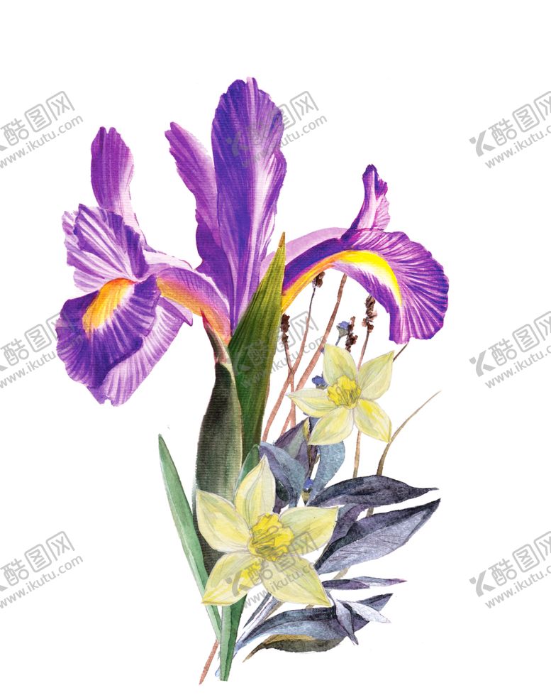 编号：97918610181152037318【酷图网】源文件下载-水彩绘画浪漫花朵