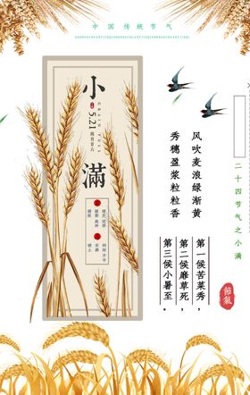 小满