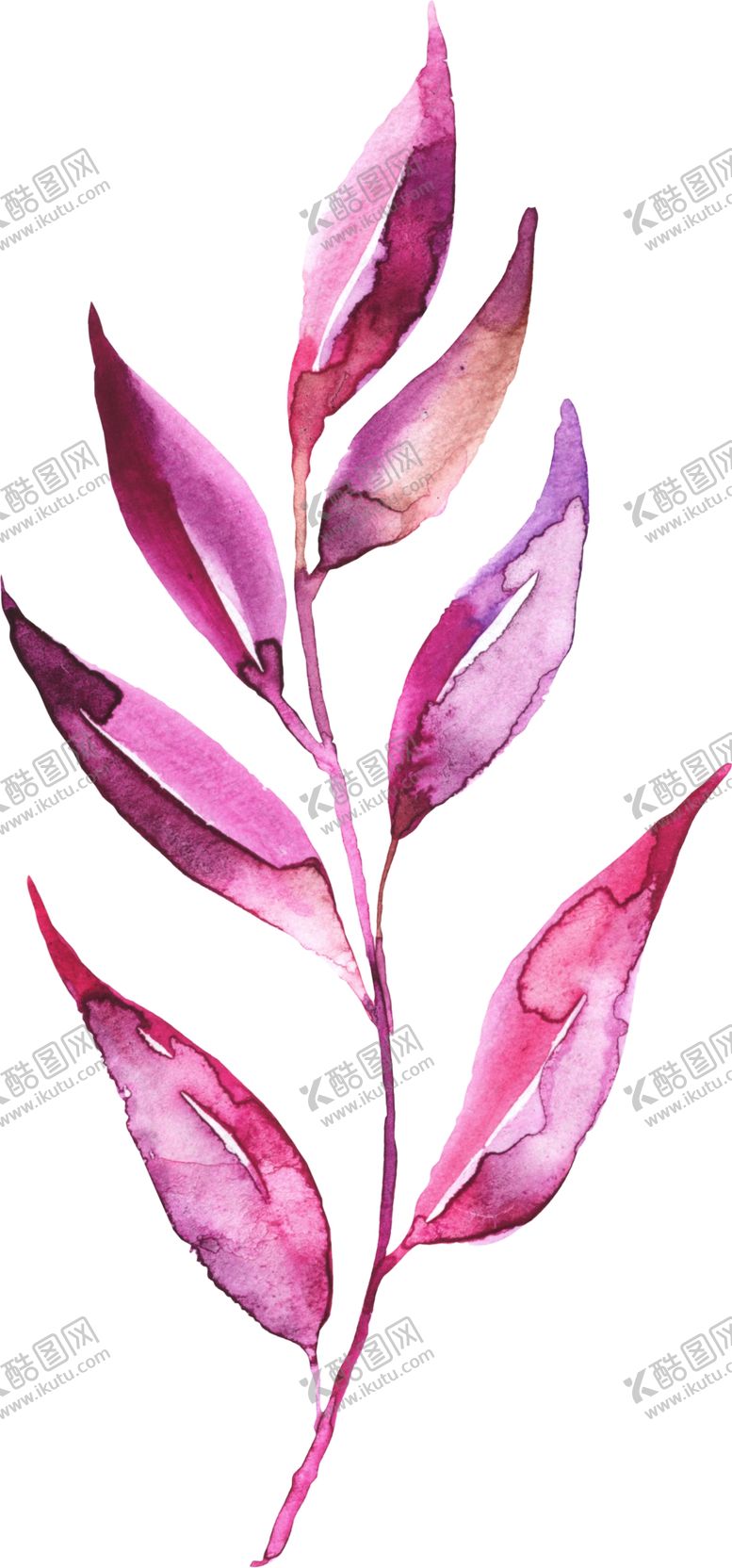 编号：88088310142024597476【酷图网】源文件下载-花枝