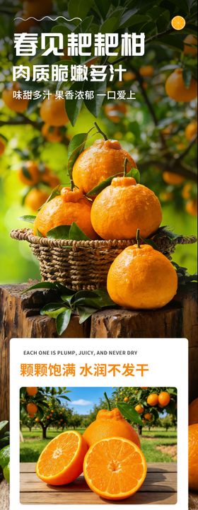 耙耙柑水果包装设计