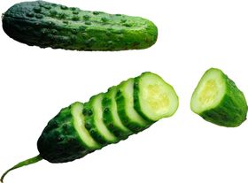 黄瓜