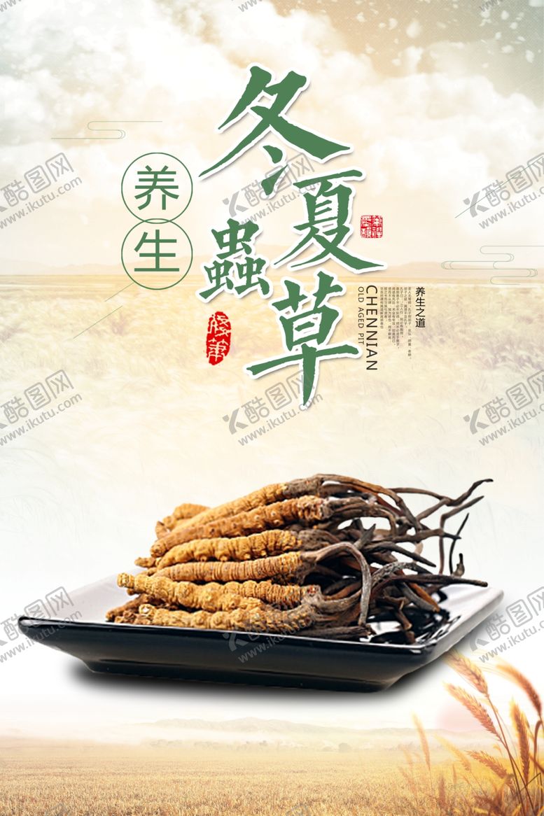编号：49574707031415529174【酷图网】源文件下载-冬虫夏草