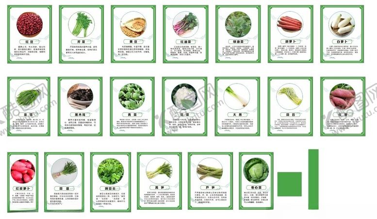 编号：47605710030535329349【酷图网】源文件下载-蔬菜展板