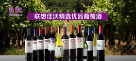 葡萄酒海报