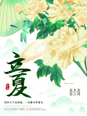 立夏荷叶荷花大暑