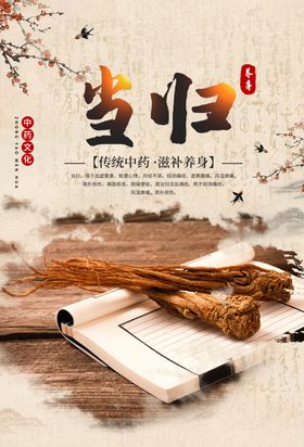 当归药材传统中医海报素材