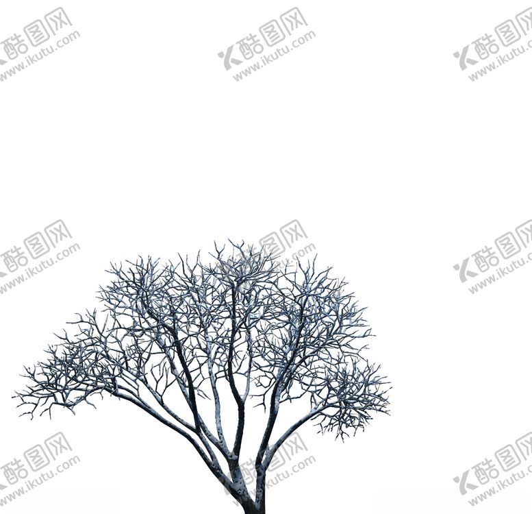 编号：30848306282231403231【酷图网】源文件下载-树木