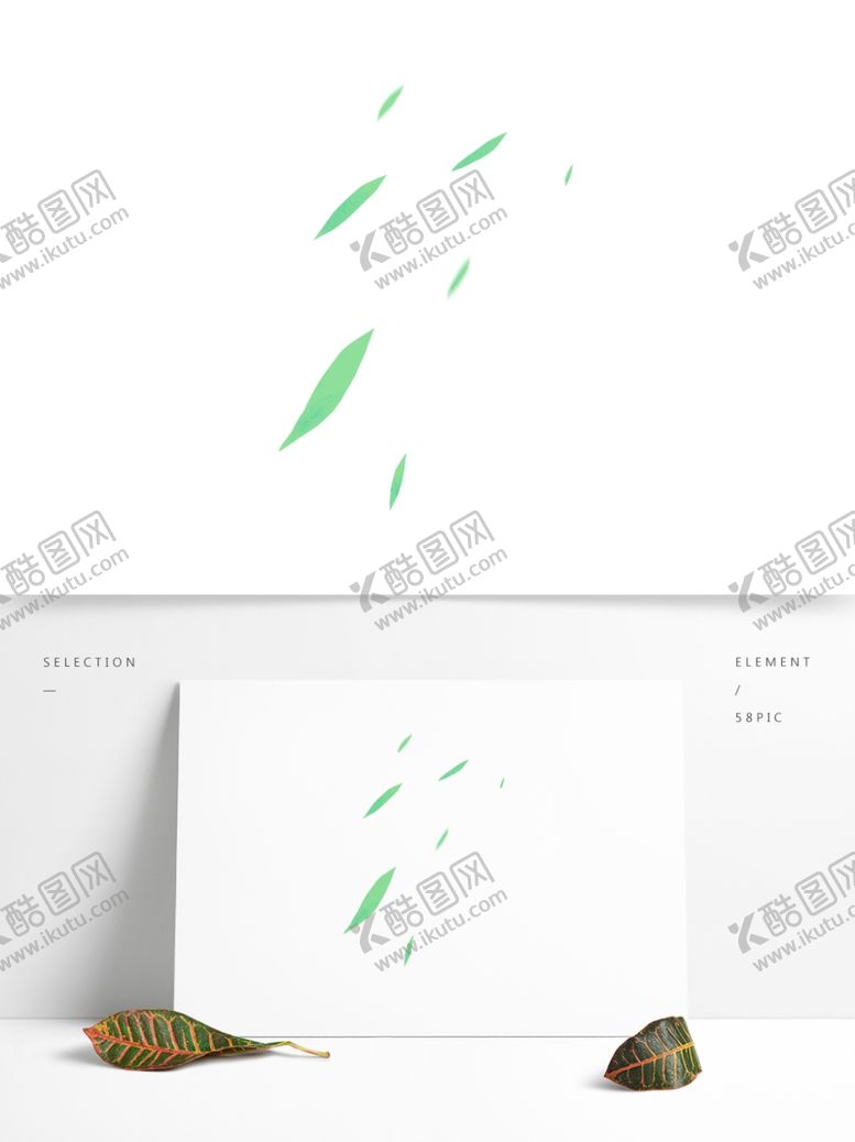 编号：14751810121905268098【酷图网】源文件下载-叶子