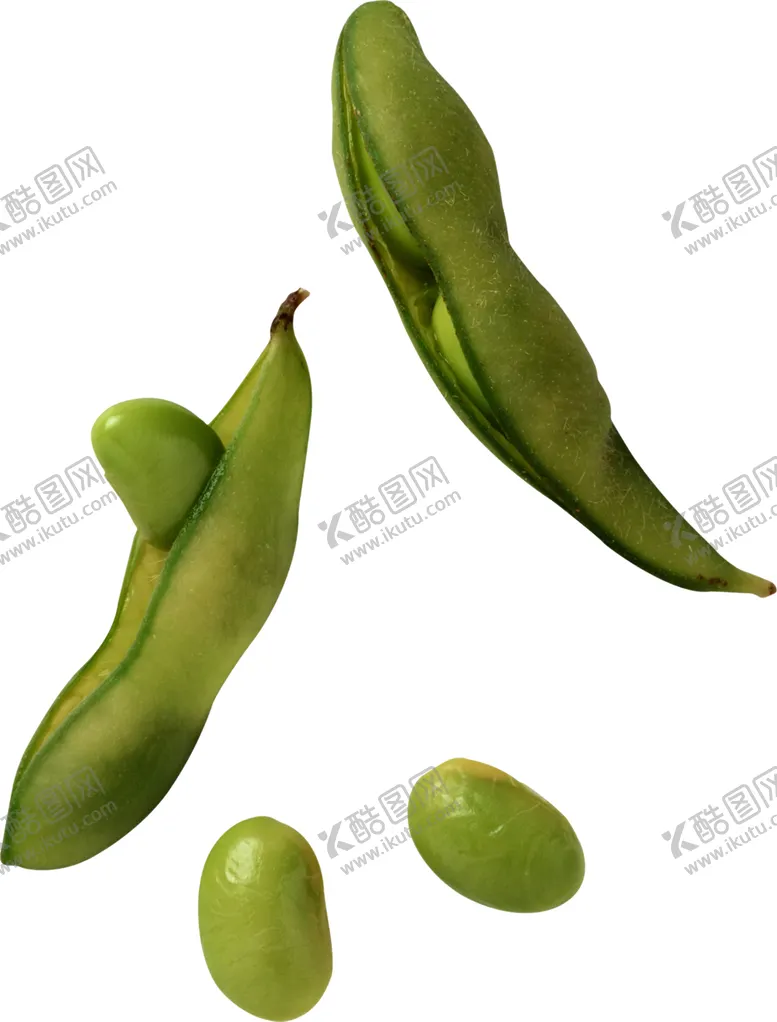 编号：85963712180419489133【酷图网】源文件下载-四季豆 