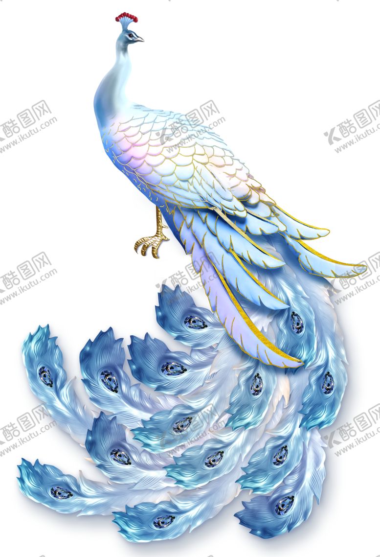 编号：85934710292136255511【酷图网】源文件下载-孔雀
