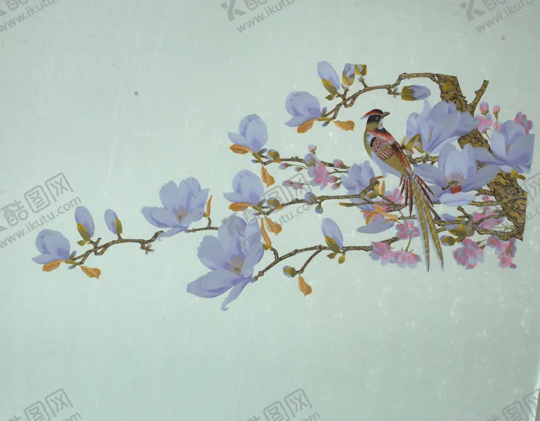 编号：95281709250047587271【酷图网】源文件下载-玉兰傲春