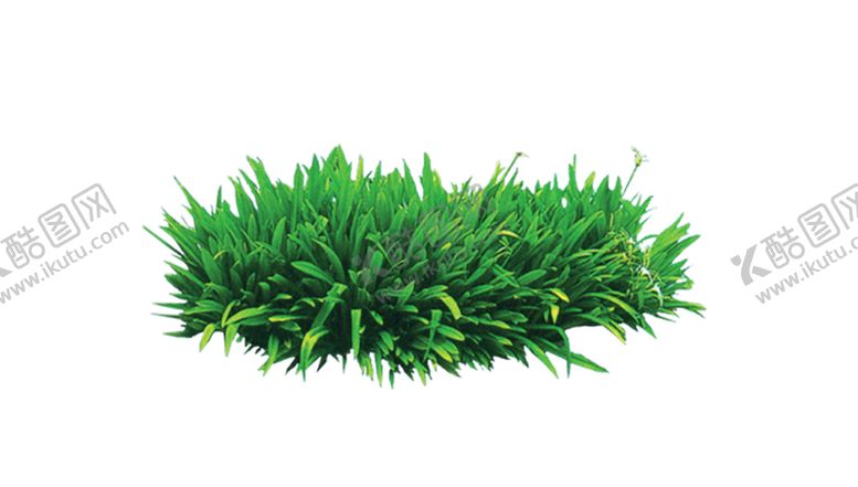 编号：32793210210435077016【酷图网】源文件下载-绿色植物