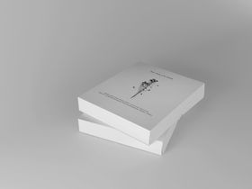 高端文艺简约极简VI包装盒效果