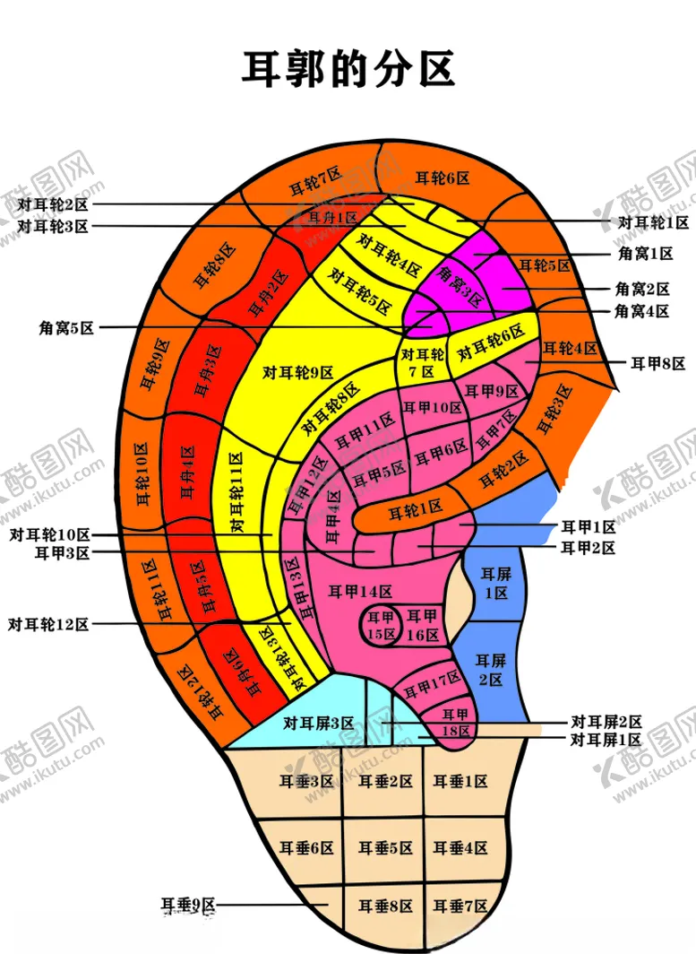编号：57144706241244224996【酷图网】源文件下载-耳郭分区图（未转曲）