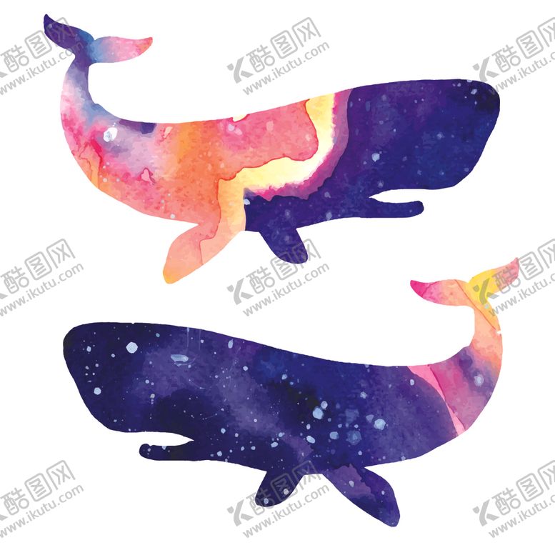 编号：27148809130459014236【酷图网】源文件下载-炫彩渐变鲸鱼图案