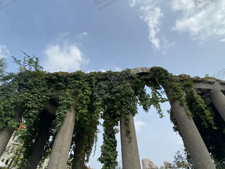 编号：96329212202315235507【酷图网】源文件下载-爬山虎