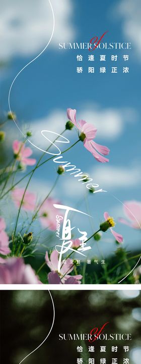 夏至节气海报ins花朵二十四小清新