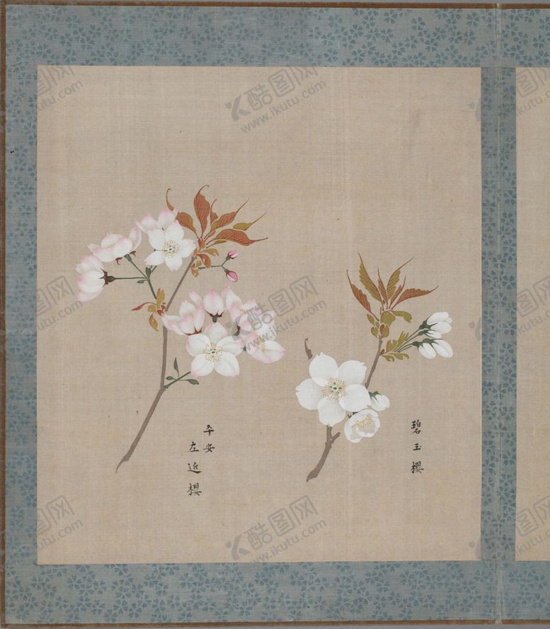 编号：54838404171445506204【酷图网】源文件下载-樱花