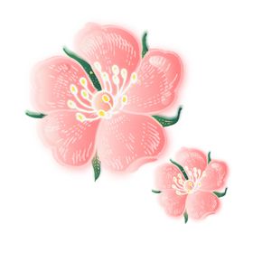 花朵手绘立春春天春分
