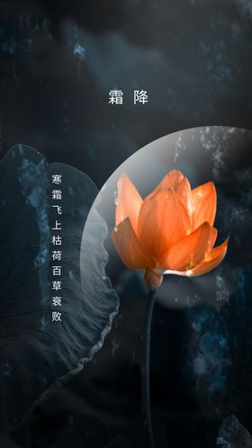 霜降传统素材促销