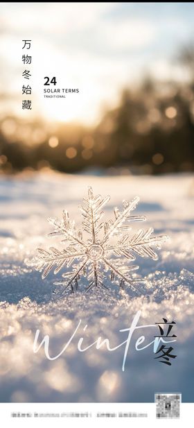 二十四节气立冬海报雪景质感