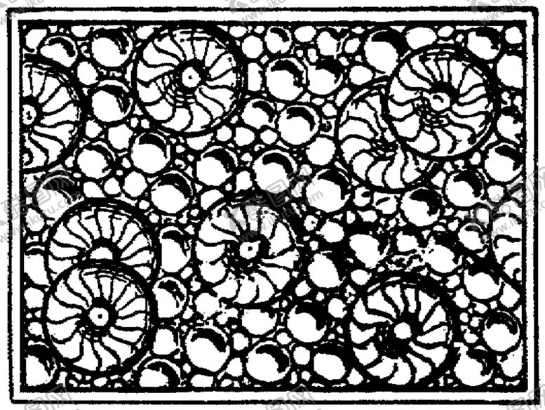 编号：36133509111822017668【酷图网】源文件下载-花纹边框