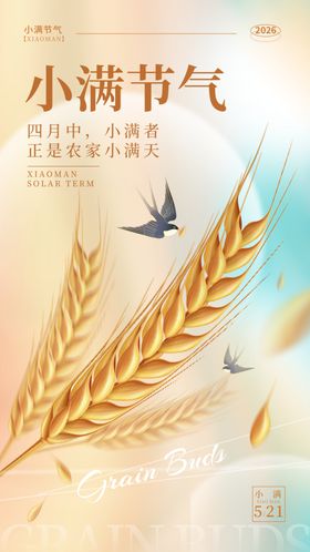 小满节气海报麦穗与飞鸟