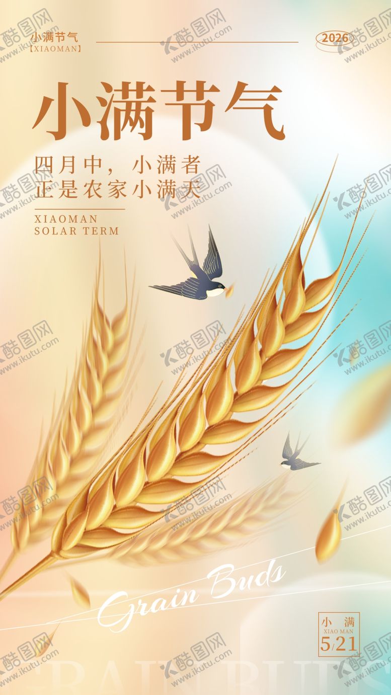 编号：21208305250426376208【酷图网】源文件下载-小满节气海报麦穗与飞鸟
