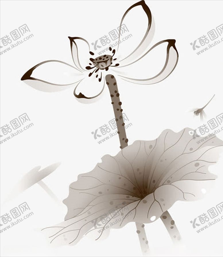 编号：23412907042225527828【酷图网】源文件下载-手绘水墨荷花