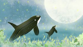 卡通梦幻
