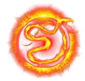 金龙纹色免扣