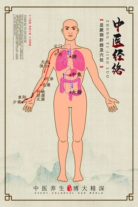 中医经络示意展板