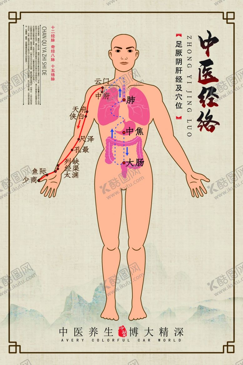 编号：89499610290220358928【酷图网】源文件下载-中医经络示意展板
