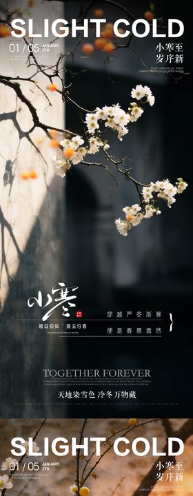 小寒房地产风景系列海报