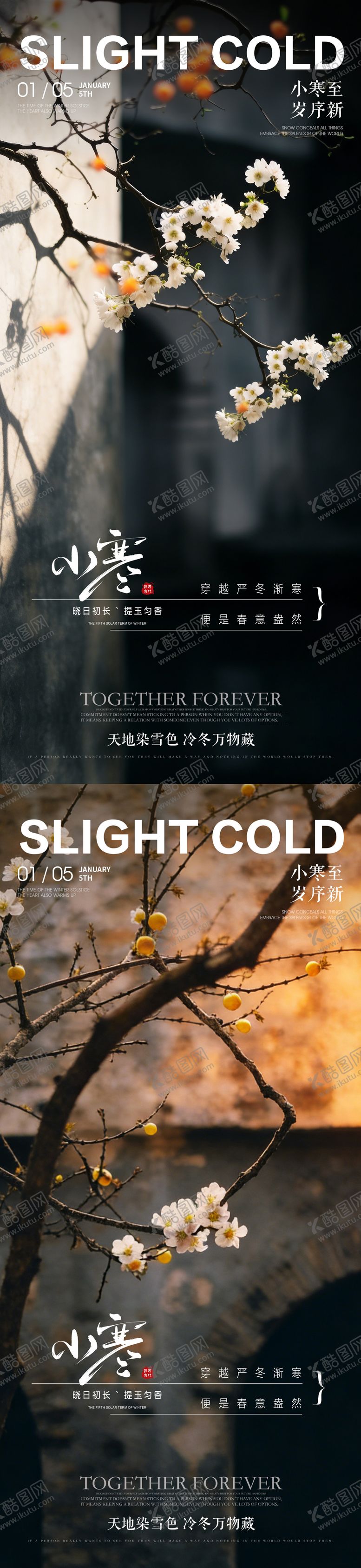 编号：40855401041032055034【酷图网】源文件下载-小寒房地产风景系列海报