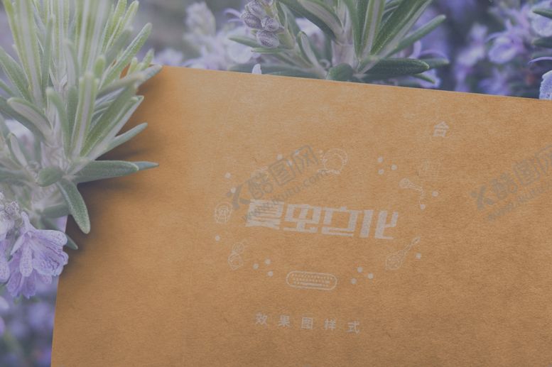 编号：69132209232033287078【酷图网】源文件下载-折页展示样机