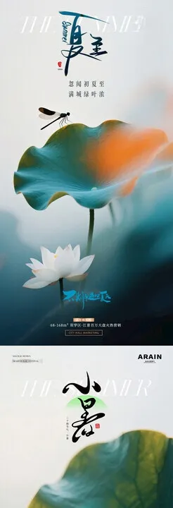 夏至小暑荷花清新海报