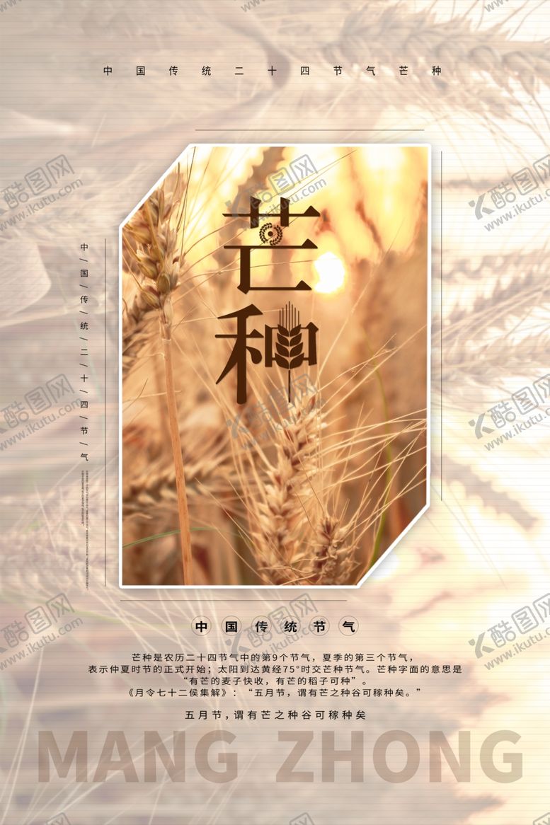 编号：33051910312005225565【酷图网】源文件下载-芒种海报