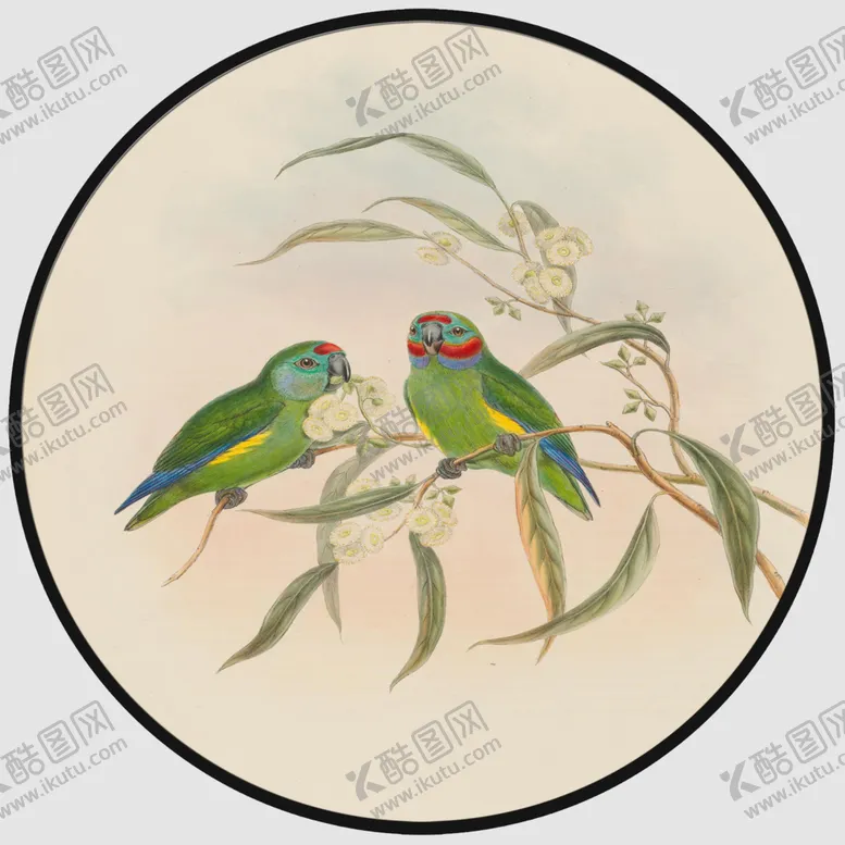 编号：20759703300024205068【酷图网】源文件下载-圆形装饰画圆形挂画圆形背景