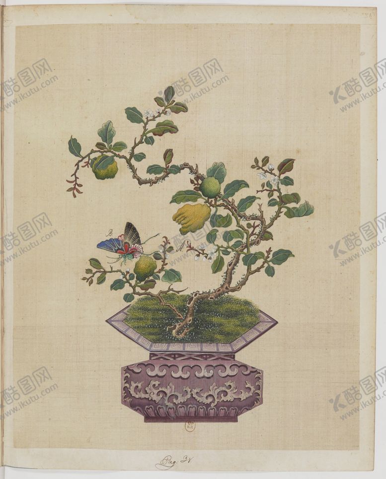 编号：37371107061641452731【酷图网】源文件下载-盆景花鸟