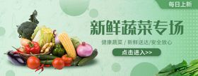 果蔬banner