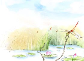 荷花蜻蜓立夏节气海报