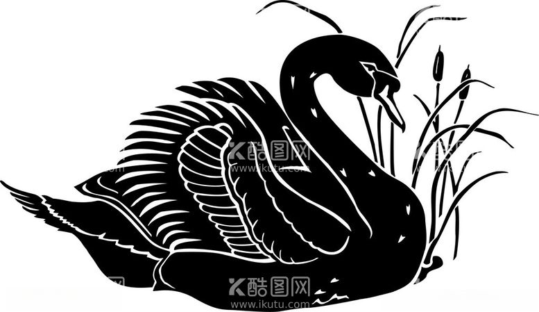 编号：65014512302109207843【酷图网】源文件下载-手绘鸟类插画