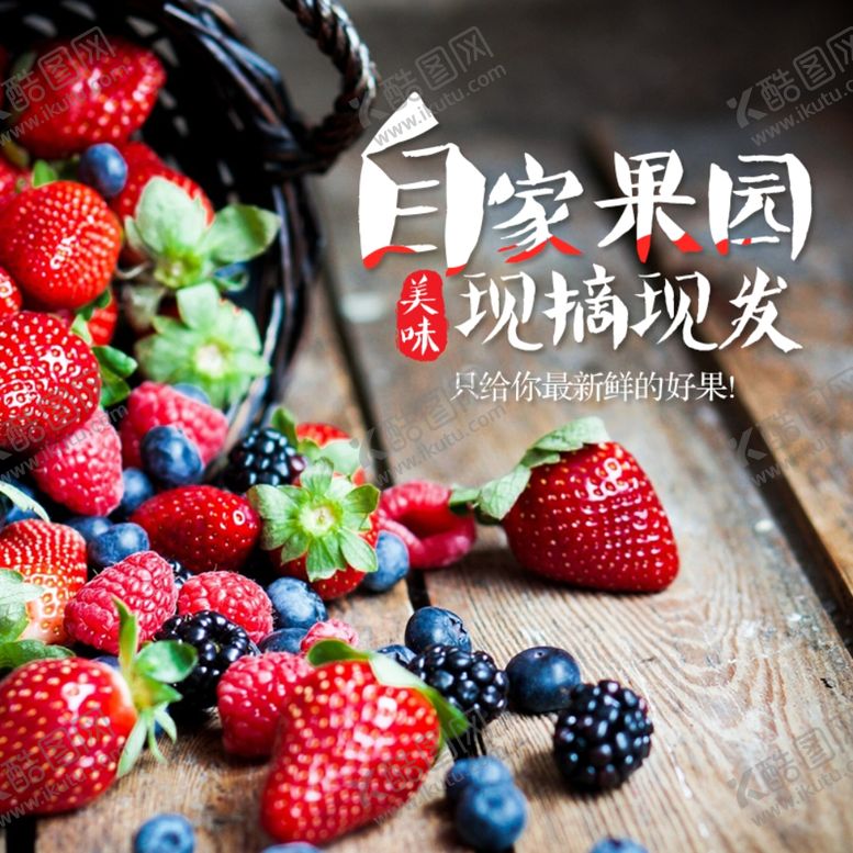 编号：44190006251751481414【酷图网】源文件下载-生鲜水果活动促销优惠淘宝主图