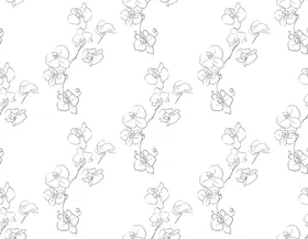 线描花卉白小草植物