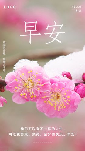 早安海报梅花问候海报