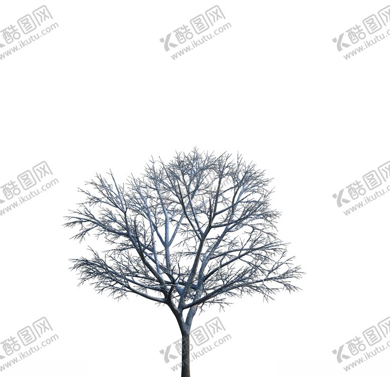 编号：57230910161657006426【酷图网】源文件下载-树木