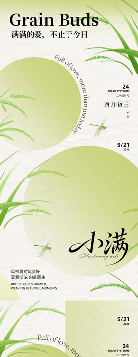 小满二十四节气海报设计