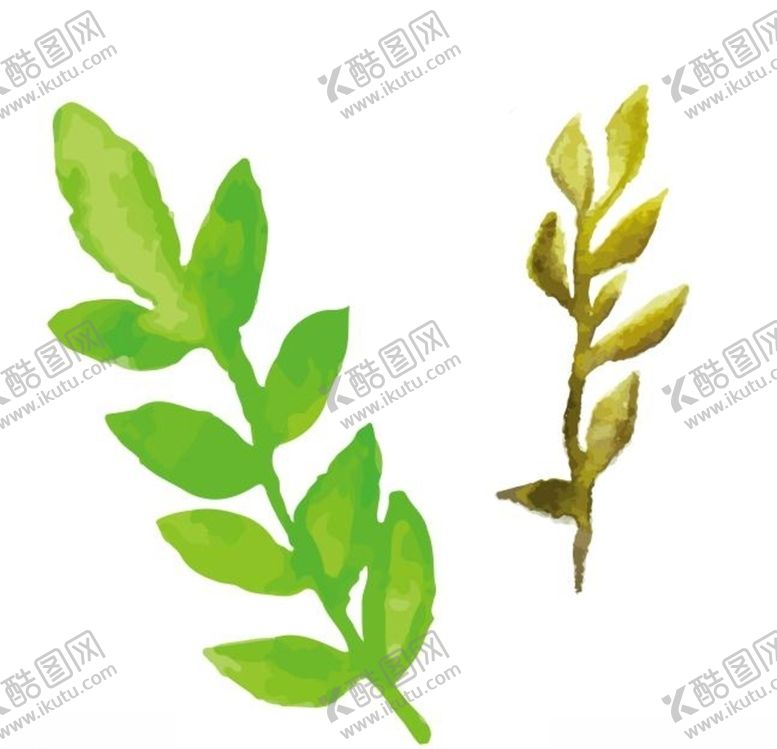 编号：55406109202336327644【酷图网】源文件下载-水彩叶子叶子矢量叶子