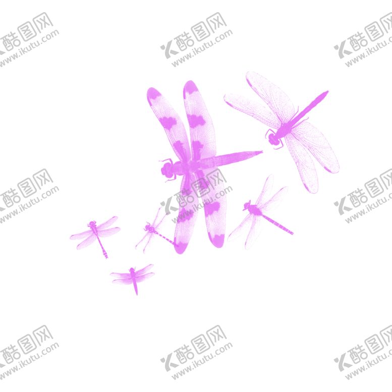 编号：30962306241127425822【酷图网】源文件下载-蜻蜓